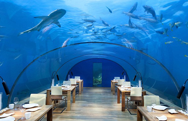 馬爾地夫的海底餐廳
