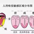 味覺 味覺
