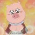 豚豚 豚豚