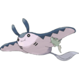 巨翅飛魚 巨翅飛魚