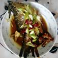 啤酒鯉魚 啤酒鯉魚