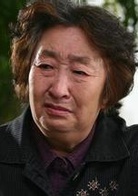 離婚進行時(2006年江珊、丁志誠主演電視劇)
