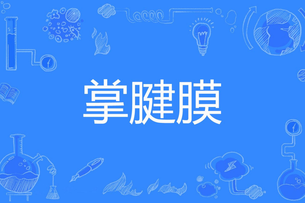 掌腱膜 掌腱膜