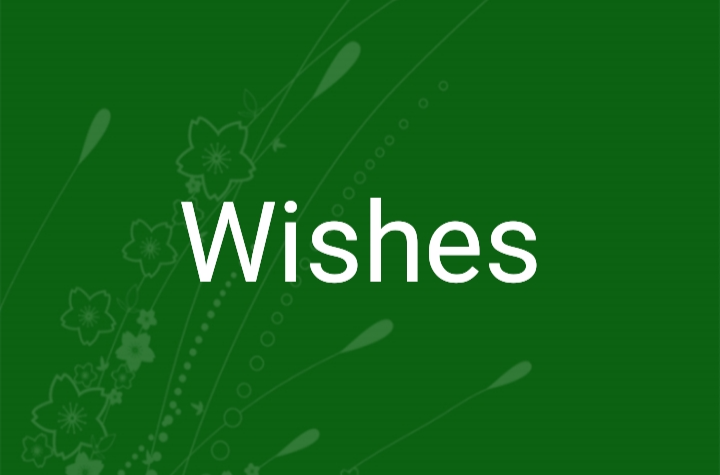 Wishes(小說)