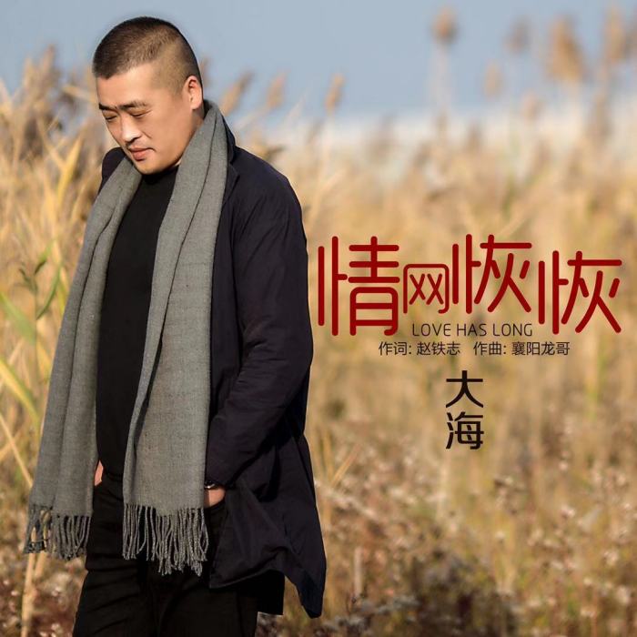 情網恢恢(大海演唱的歌曲) 情網恢恢(大海演唱的歌曲)
