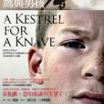 鷹與男孩 鷹與男孩
