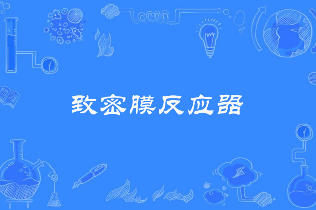 緻密膜反應器 緻密膜反應器