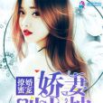 嬌妻別太拽 嬌妻別太拽
