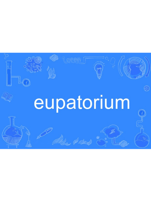 eupatorium eupatorium