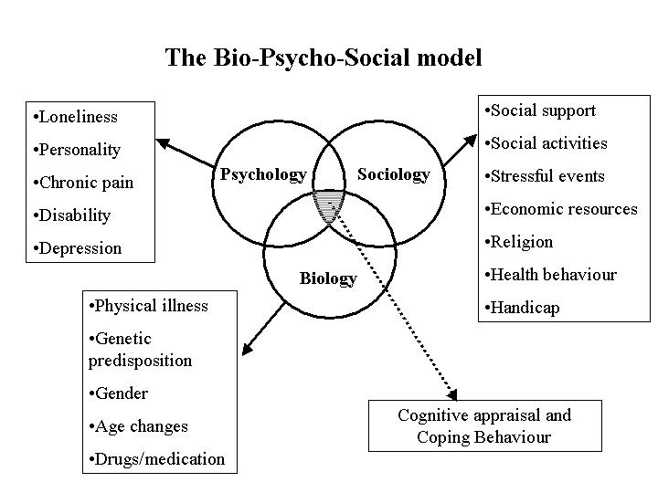 生物—心理—社會醫學模式