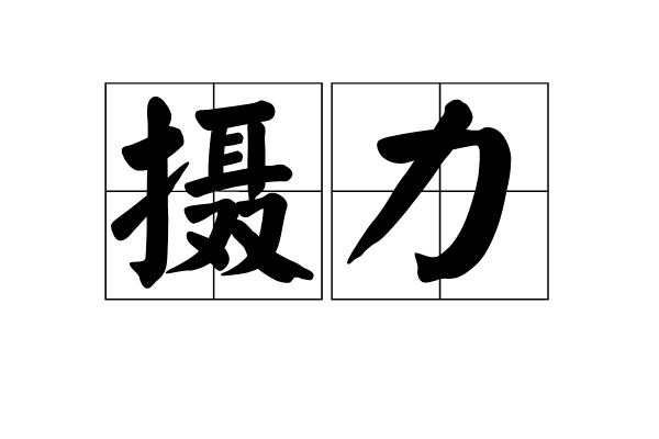 攝力 攝力
