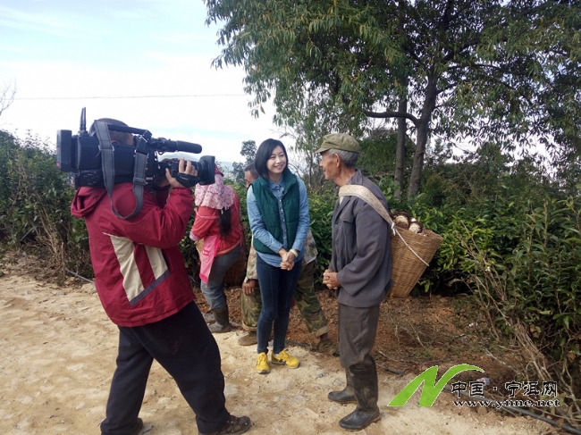 2016年12月中央電視台到德化鎮荒田村拍攝脫貧產業