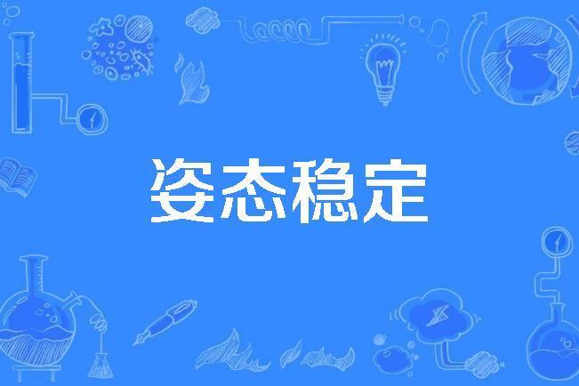 姿態穩定 姿態穩定