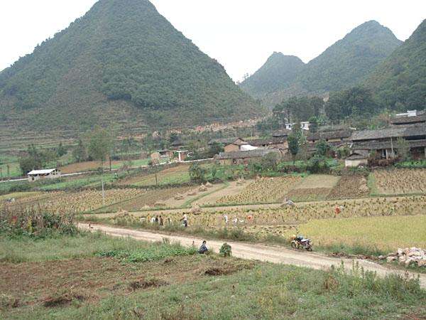 腳魁村 腳魁村