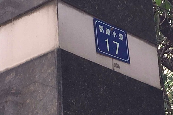 鸚鵡小道 鸚鵡小道