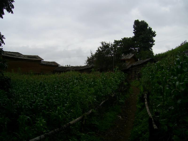 馬桑坪村(馬桑坪村) 馬桑坪村(馬桑坪村)
