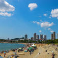 星海公園 星海公園