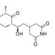 Cycloheximide Cycloheximide