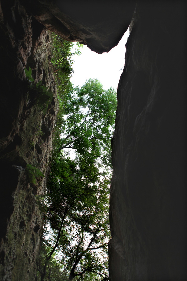 安徽石蓮洞國家森林公園一線天景點