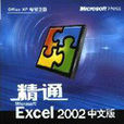 精通Microsoft Excel 2002中文版 精通Microsoft Excel 2002中文版