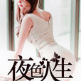 夜色人生(暗夜文學網小說) 夜色人生(暗夜文學網小說)