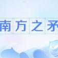 南方之矛