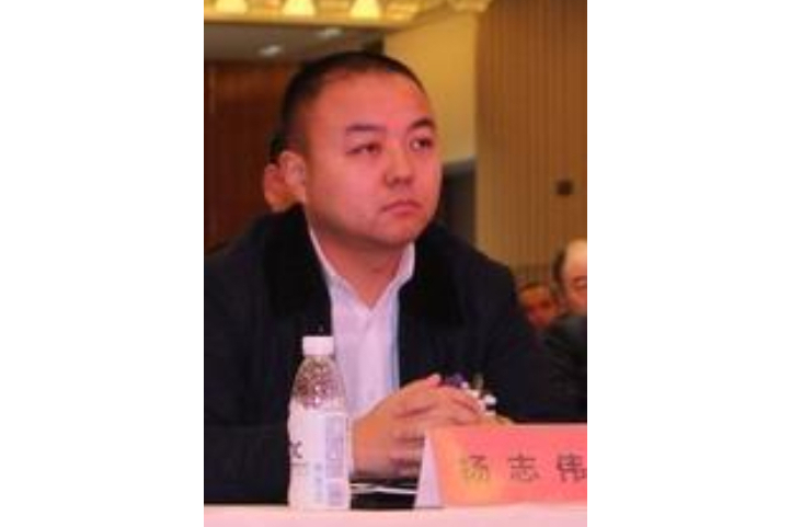 楊志偉(“鑫圓系”特大網路傳銷案主犯) 楊志偉(“鑫圓系”特大網路傳銷案主犯)