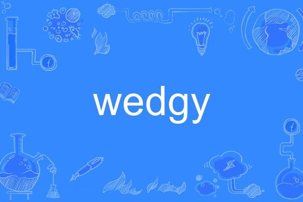 wedgy wedgy