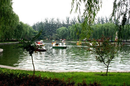 康莊公園 康莊公園