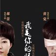 我是你的眼(2015年殷飛執導電視劇) 我是你的眼(2015年殷飛執導電視劇)