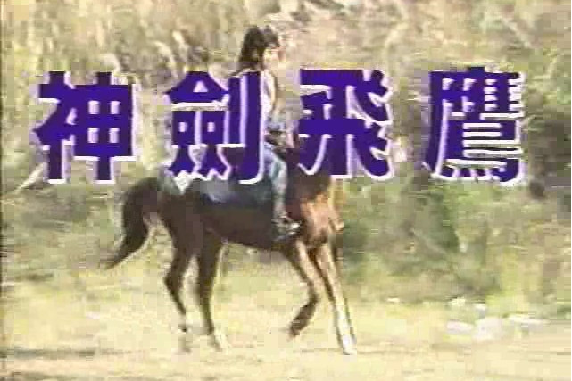 神劍飛鷹 神劍飛鷹
