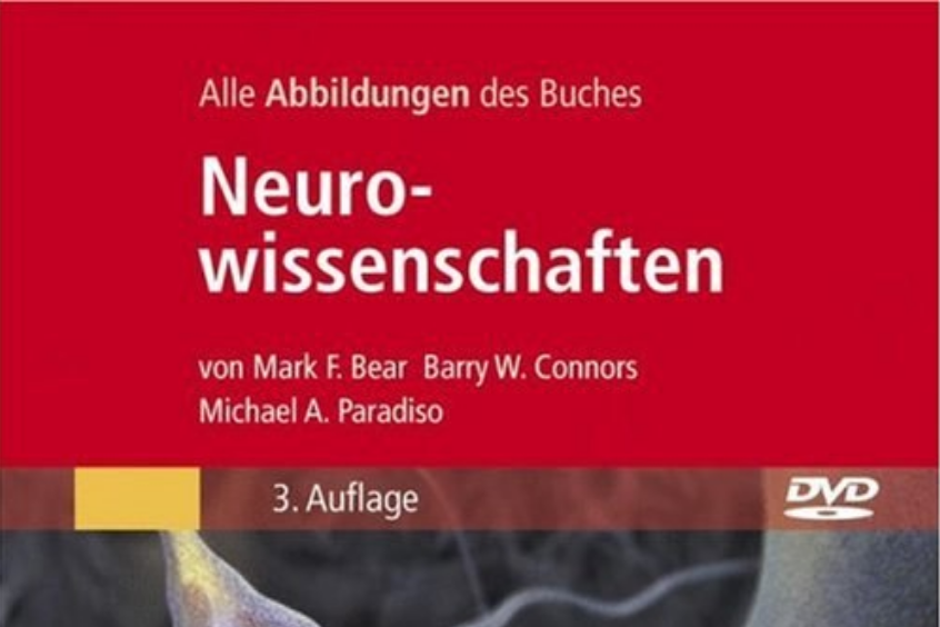 Bild-DVD, Neurowissenschaften Bild-DVD, Neurowissenschaften