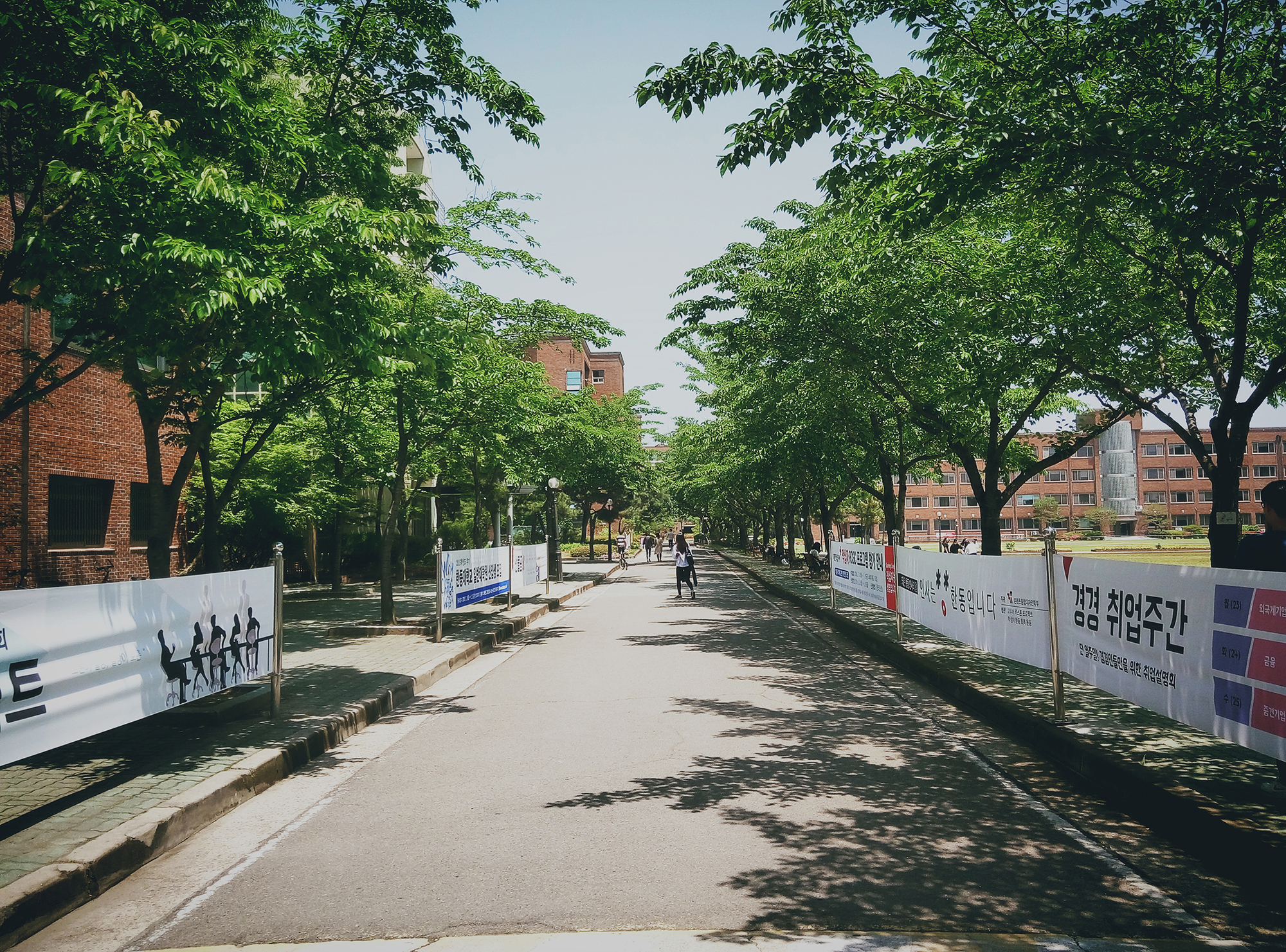 韓東國際大學春季校園