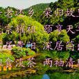 告老還鄉 告老還鄉