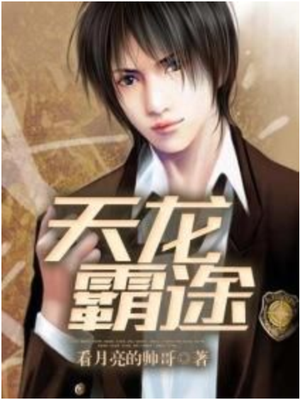 天龍霸途 天龍霸途
