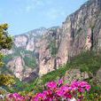 芝盤峰 芝盤峰