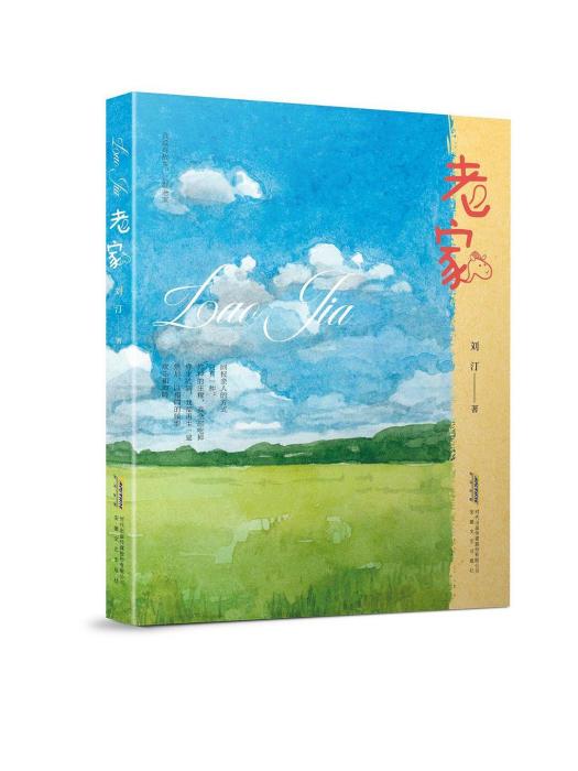 老家(2023年安徽文藝出版社出版的圖書) 老家(2023年安徽文藝出版社出版的圖書)