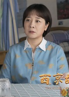 西京故事(2016年姚遠執導電視劇)