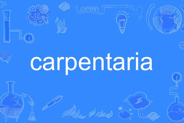 carpentaria carpentaria
