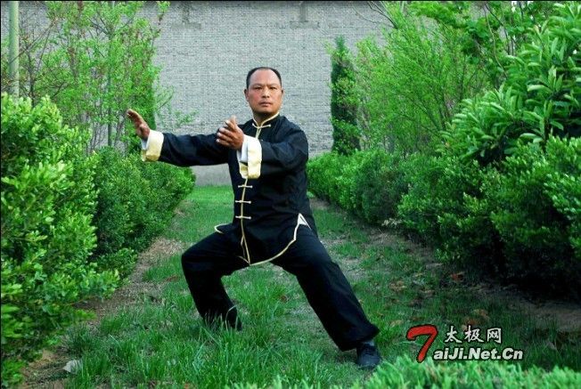 陳占成(陳氏第太極拳傳人) 陳占成(陳氏第太極拳傳人)
