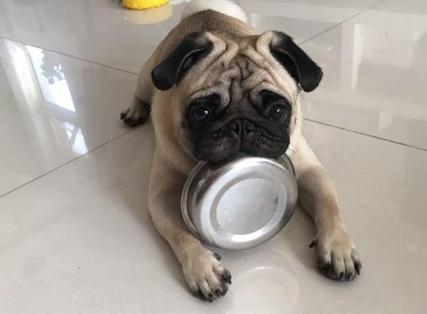 FitBowl FitBowl