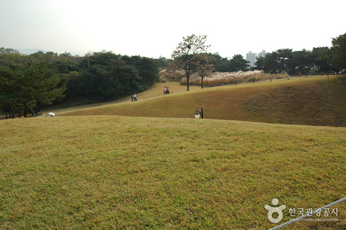 土城村(貴州省盤州市柏果鎮土城村) 土城村(貴州省盤州市柏果鎮土城村)