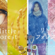 小森林(日本2014年橋本愛主演電影) 小森林(日本2014年橋本愛主演電影)
