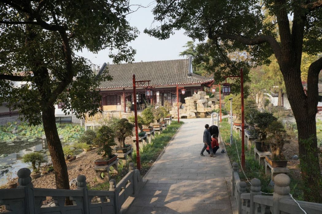 荊州市荊州盆景園(江陵盆景園) 荊州市荊州盆景園(江陵盆景園)