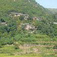 倪家坡村 倪家坡村