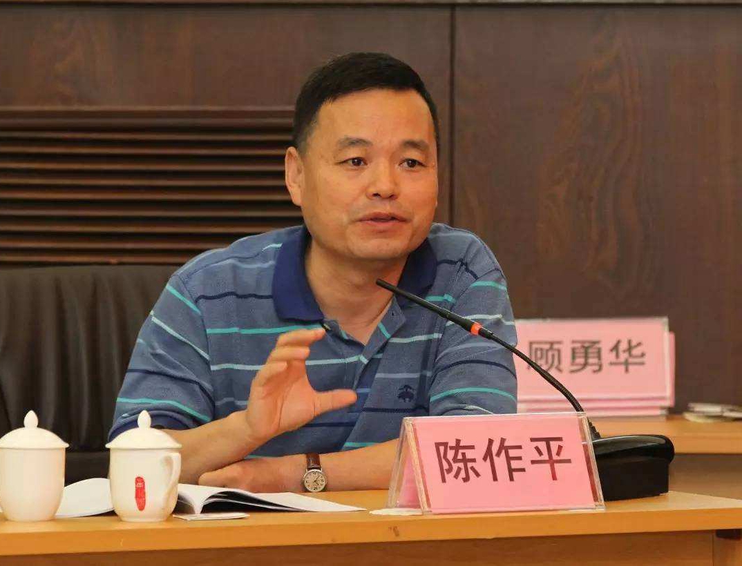 陳作平(中國傳媒大學電視與新聞學院副院長)
