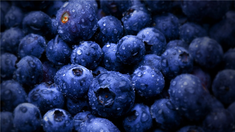長白山藍莓