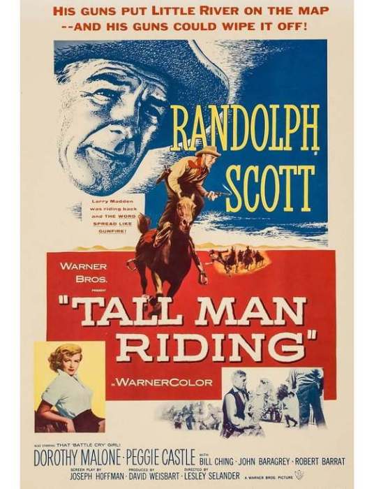奇俠殲霸戰(Tall Man Riding)