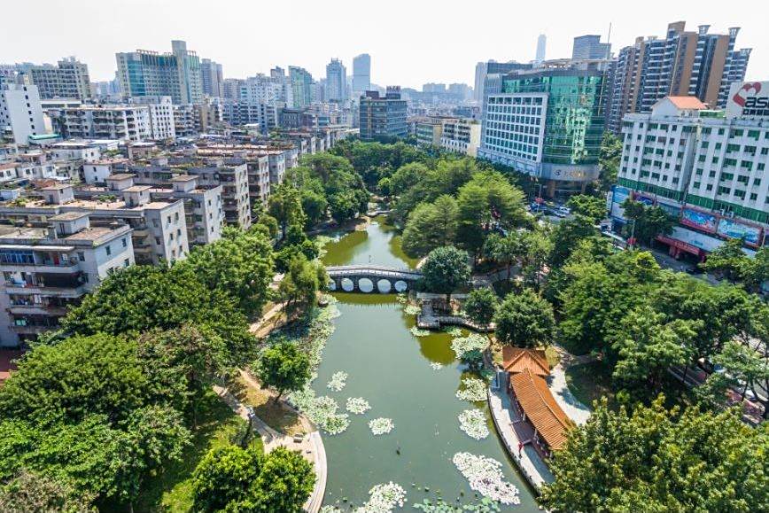 草塘公園 草塘公園