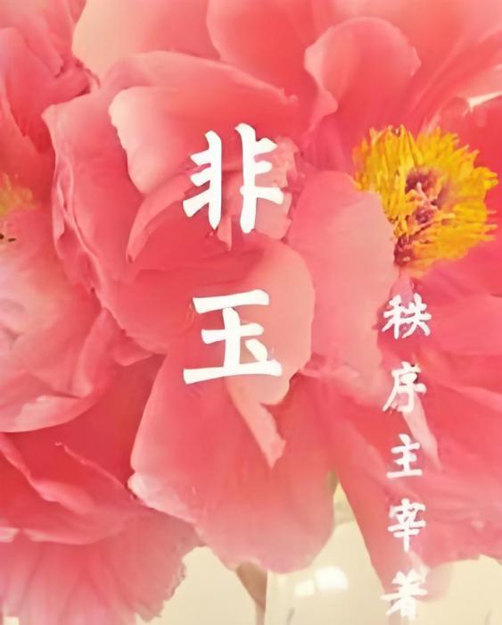 非玉 非玉